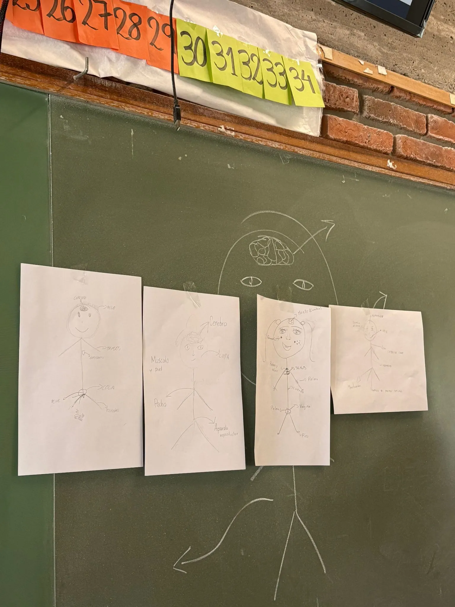 Taller de Educación Sexual Integral